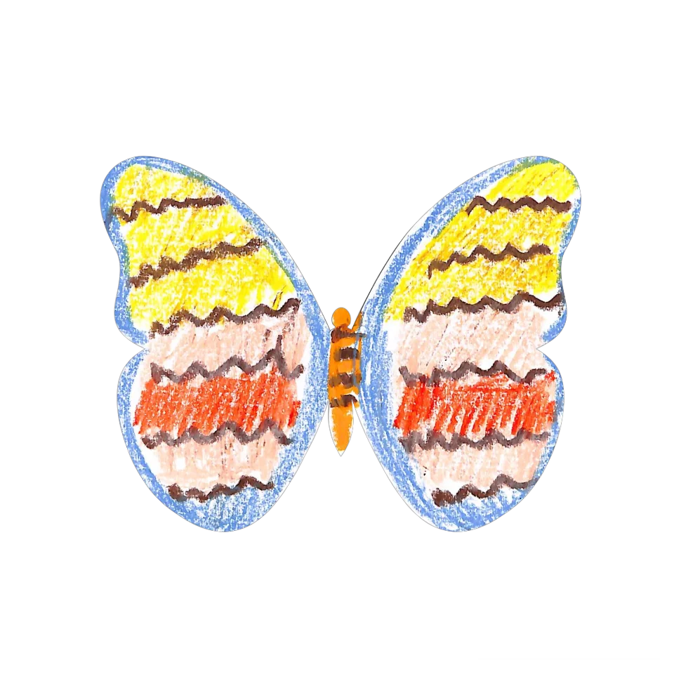 Original Butterfly Image