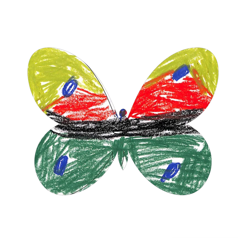 Original Butterfly Image