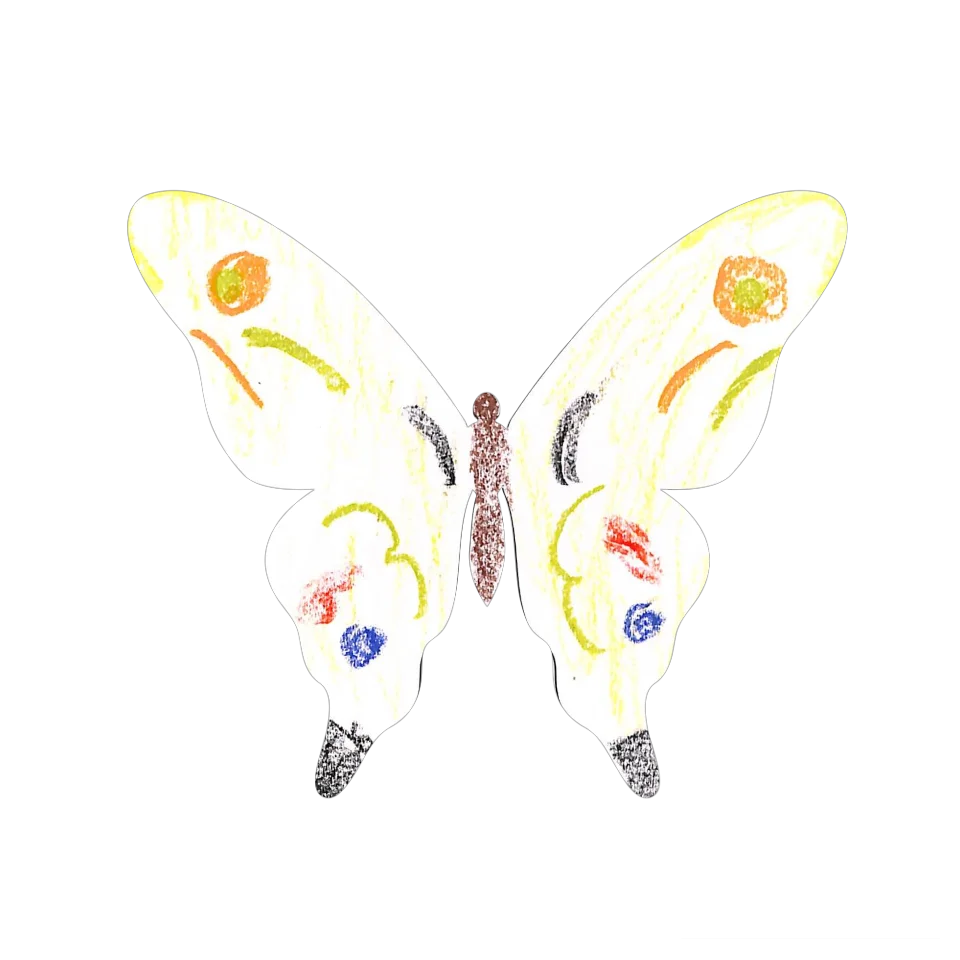 Original Butterfly Image