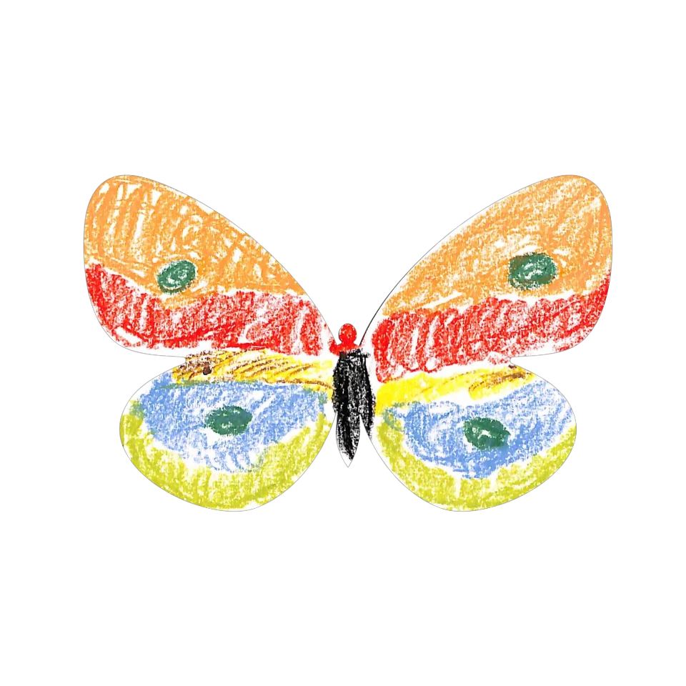 Original Butterfly Image