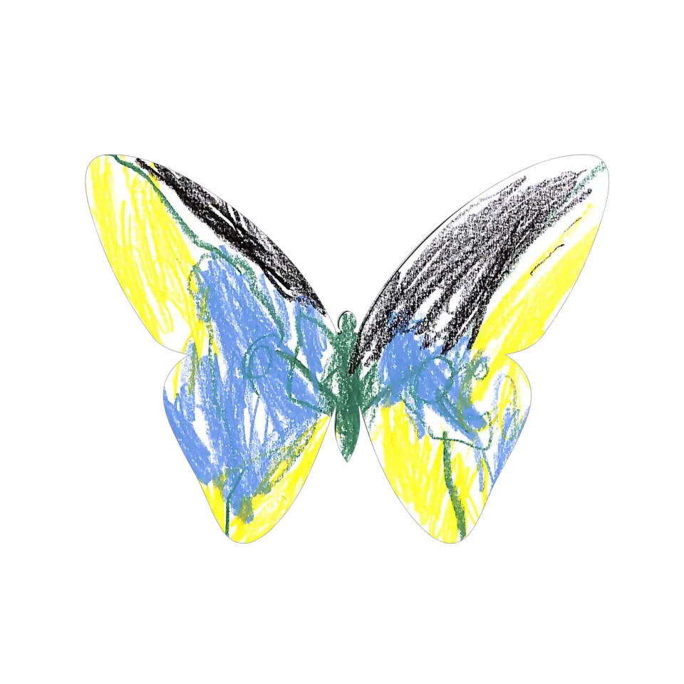 Original Butterfly Image