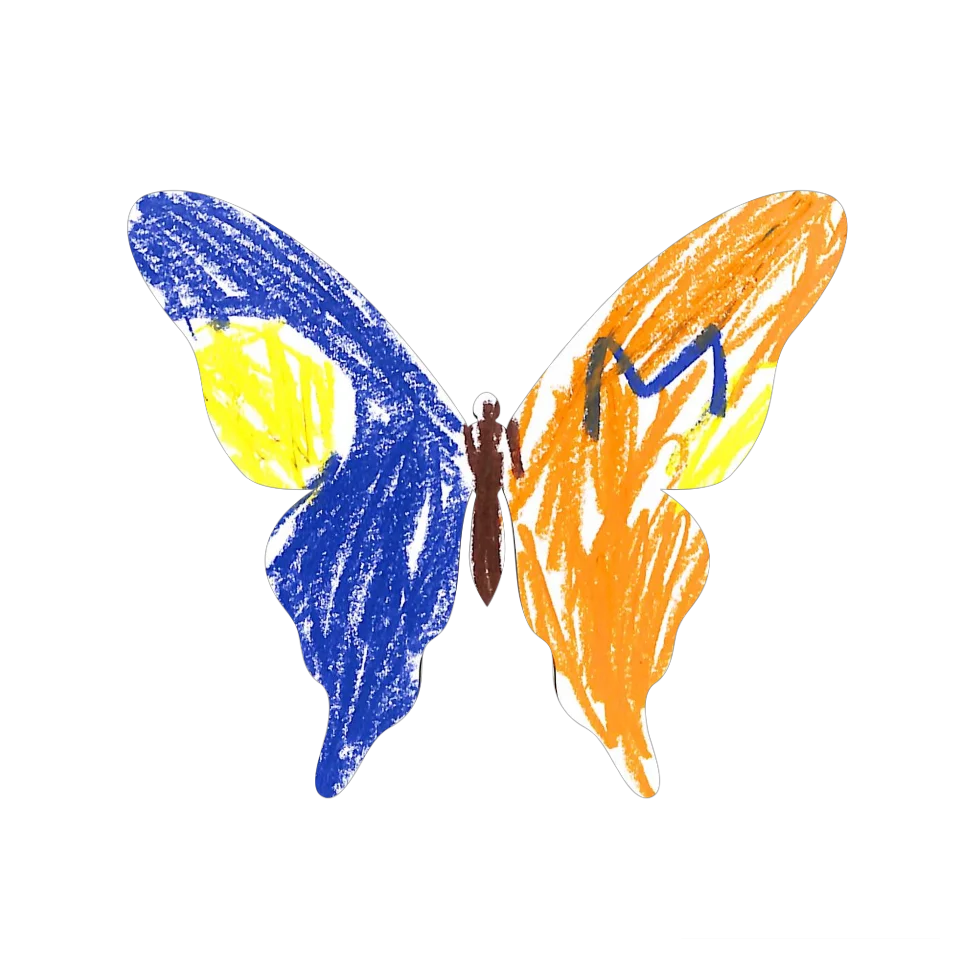 Original Butterfly Image