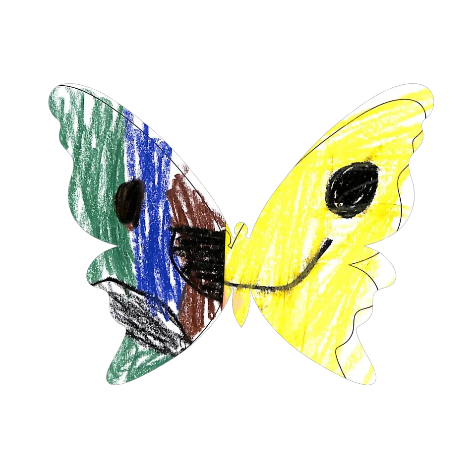 Original Butterfly Image