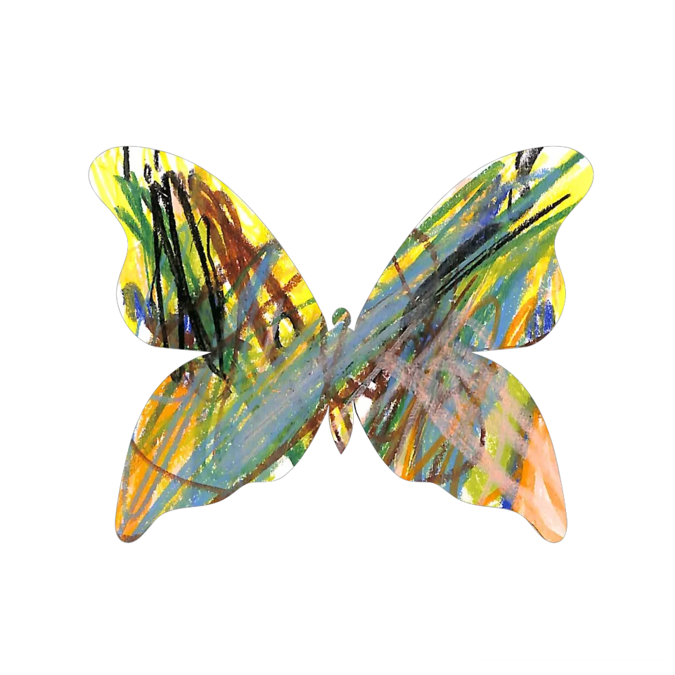 Original Butterfly Image