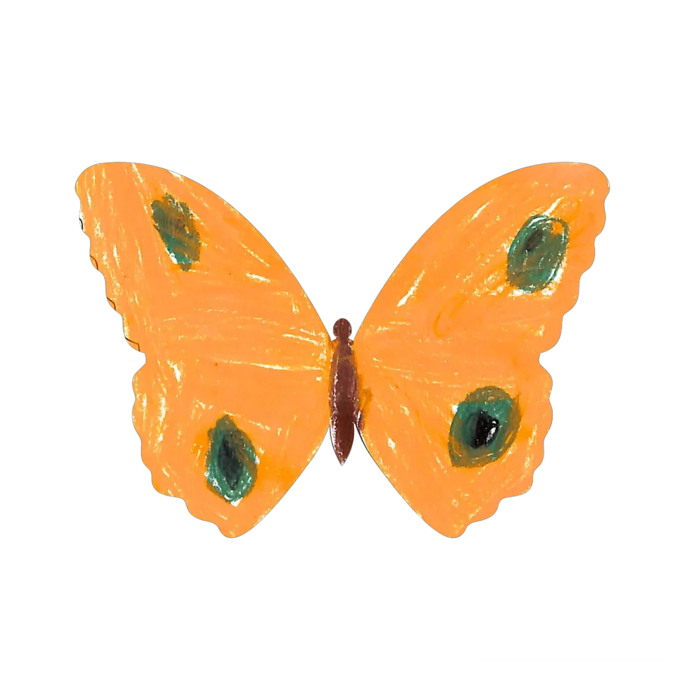 Original Butterfly Image