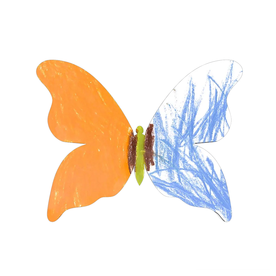 Original Butterfly Image