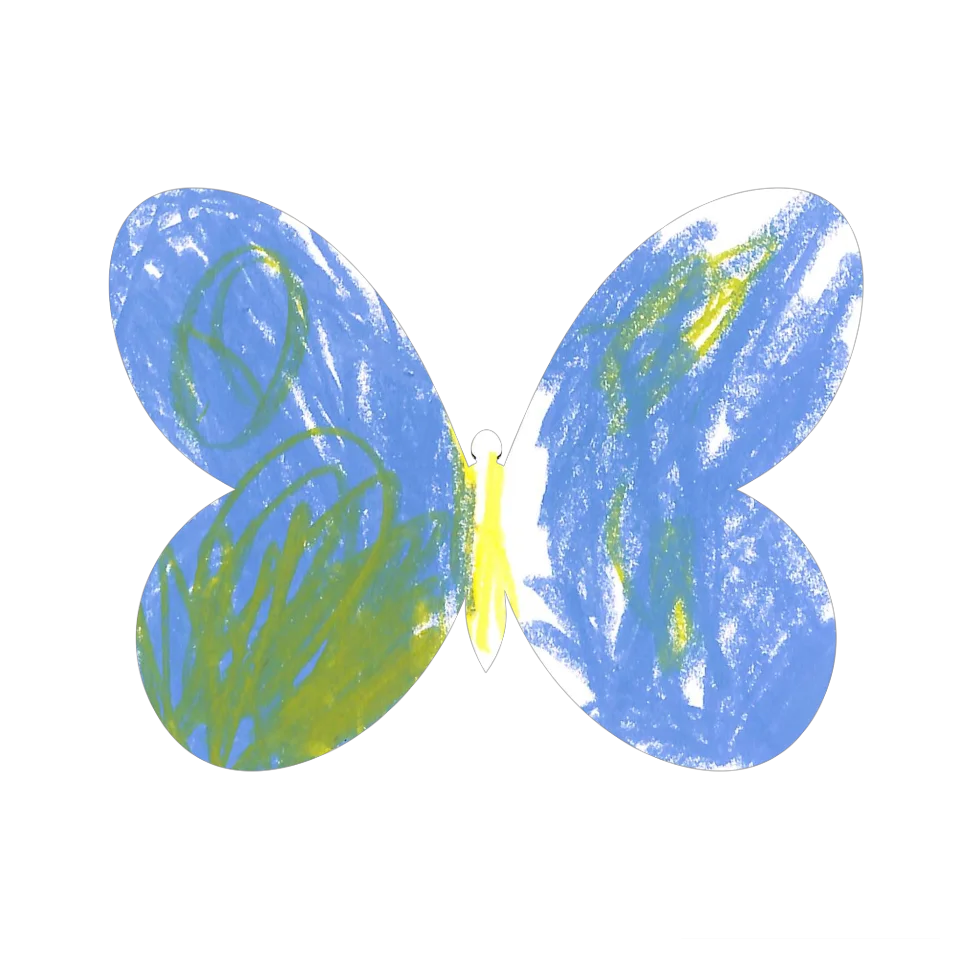 Original Butterfly Image