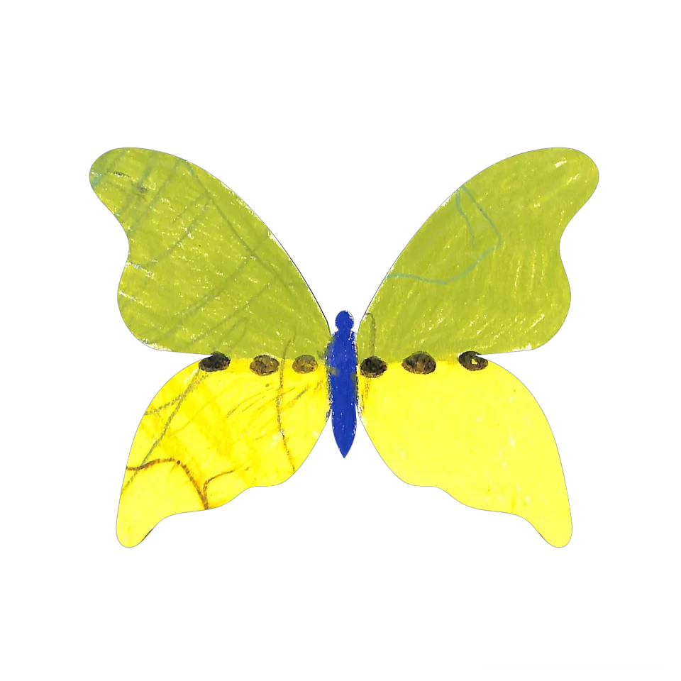 Original Butterfly Image