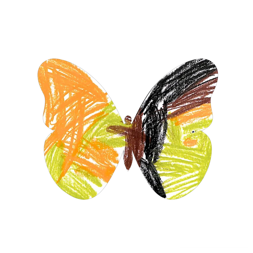 Original Butterfly Image