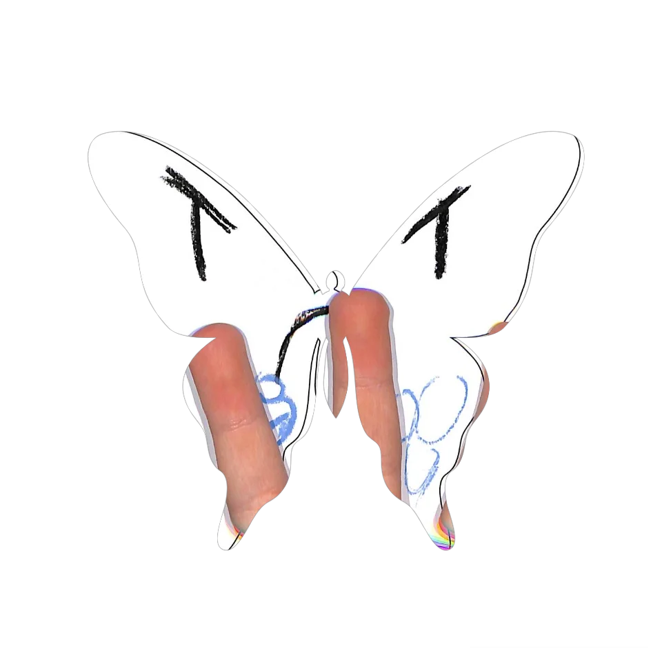 Original Butterfly Image