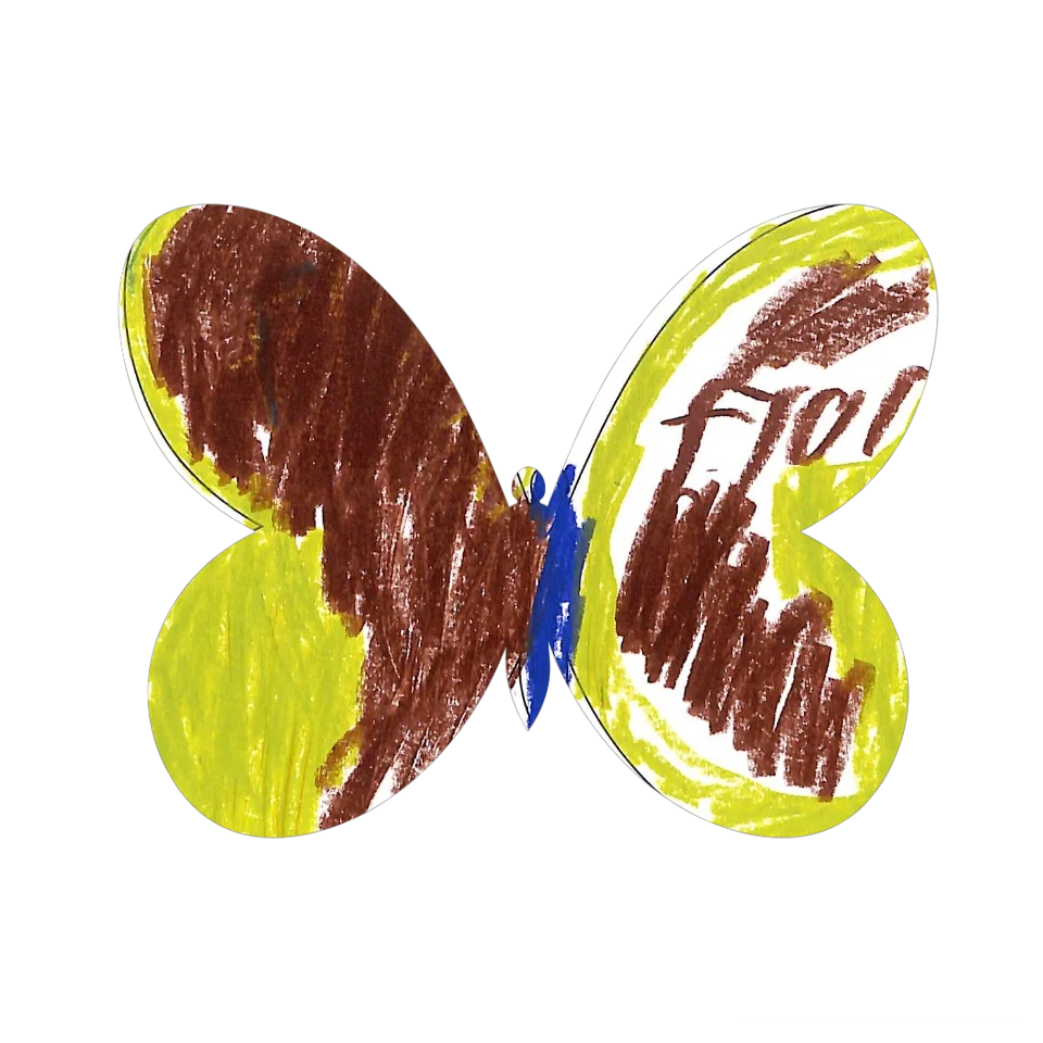 Original Butterfly Image