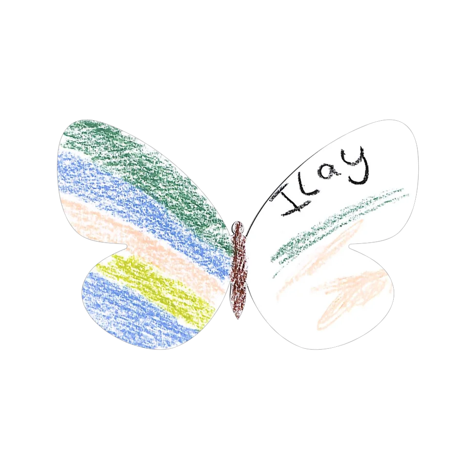 Original Butterfly Image