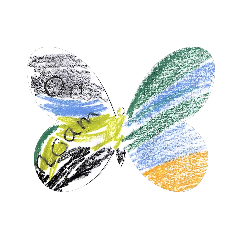 Original Butterfly Image