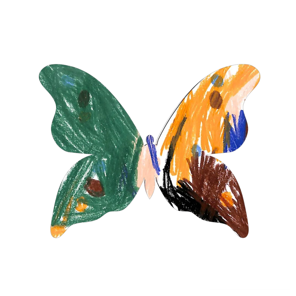 Original Butterfly Image
