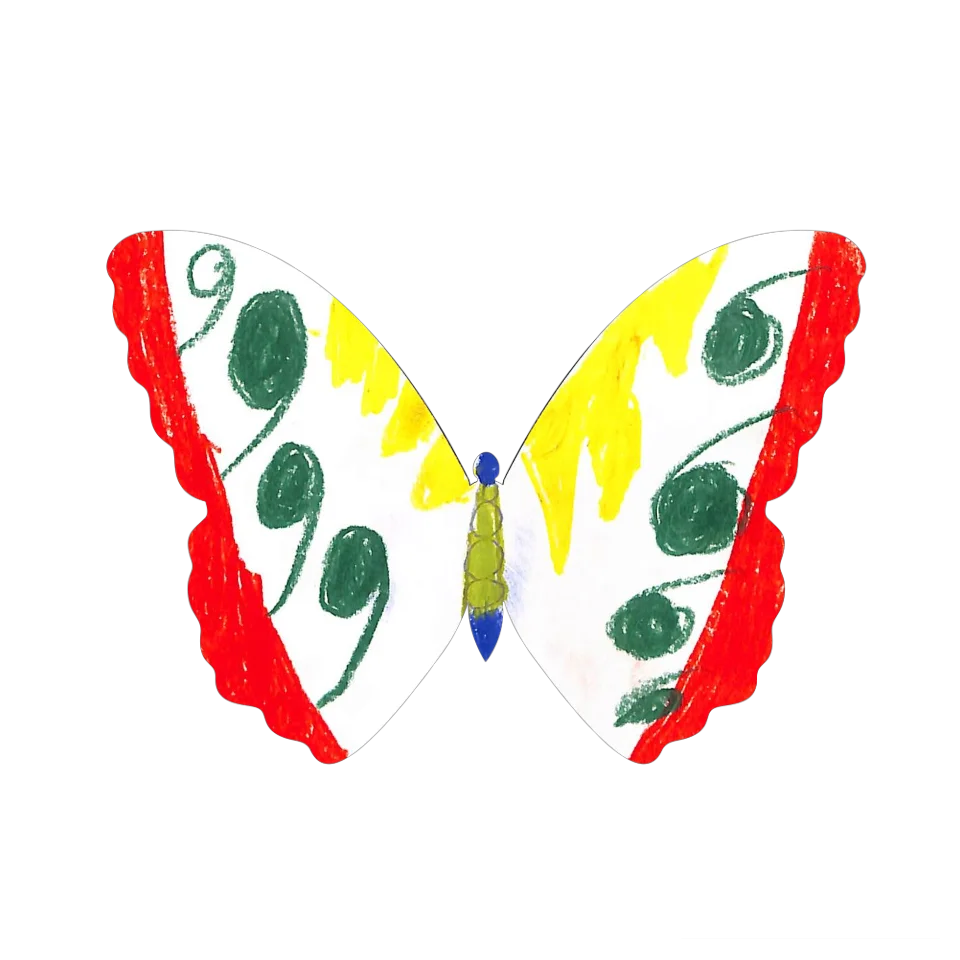 Original Butterfly Image