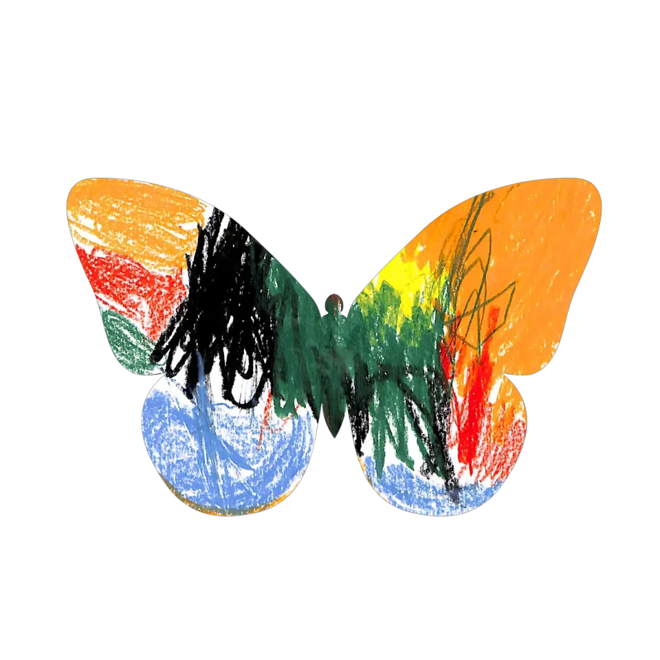 Original Butterfly Image