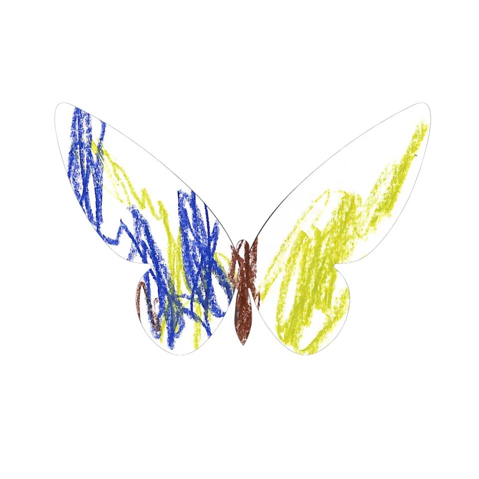 Original Butterfly Image