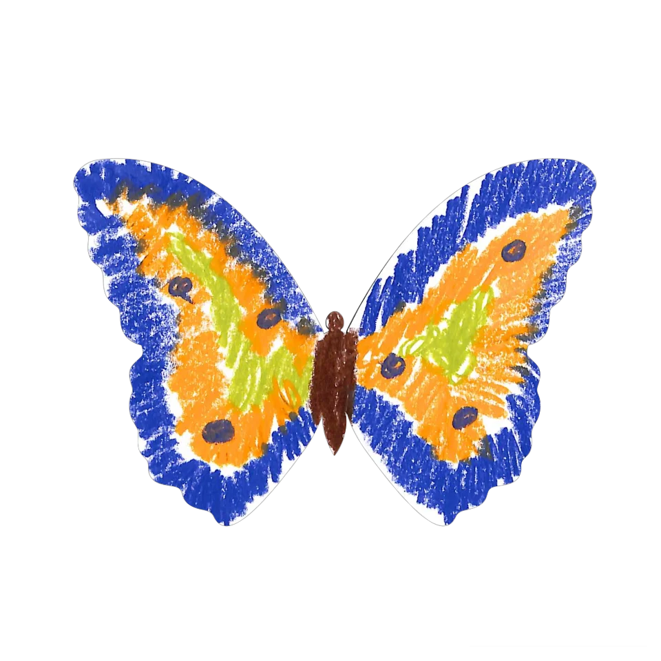 Original Butterfly Image