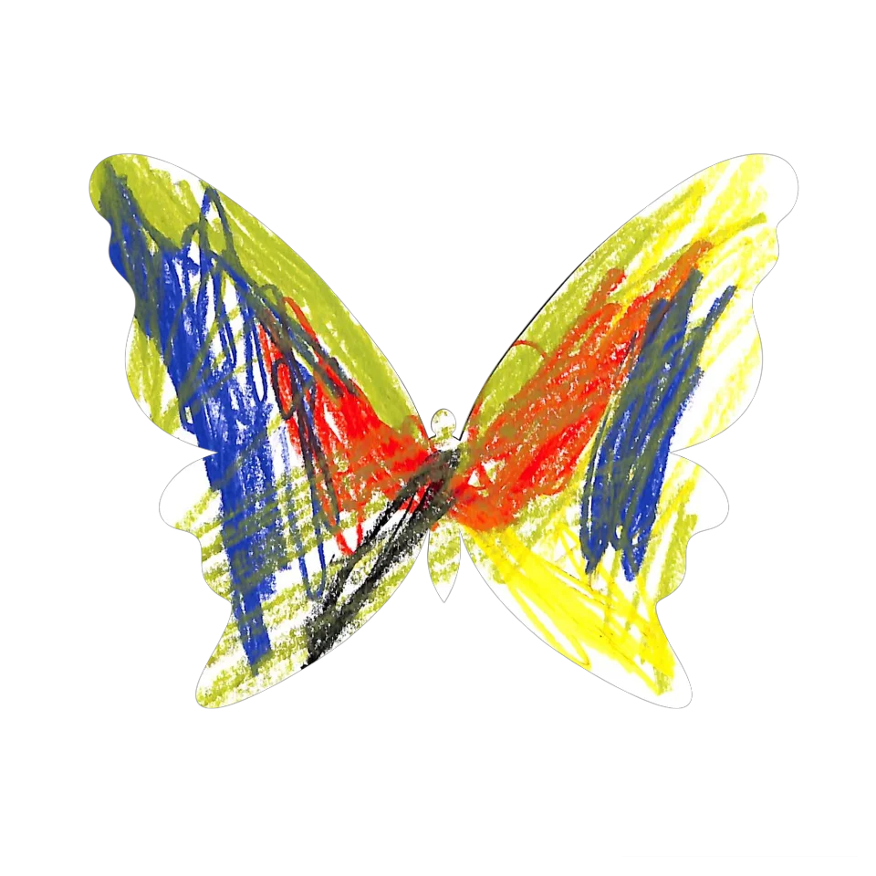 Original Butterfly Image
