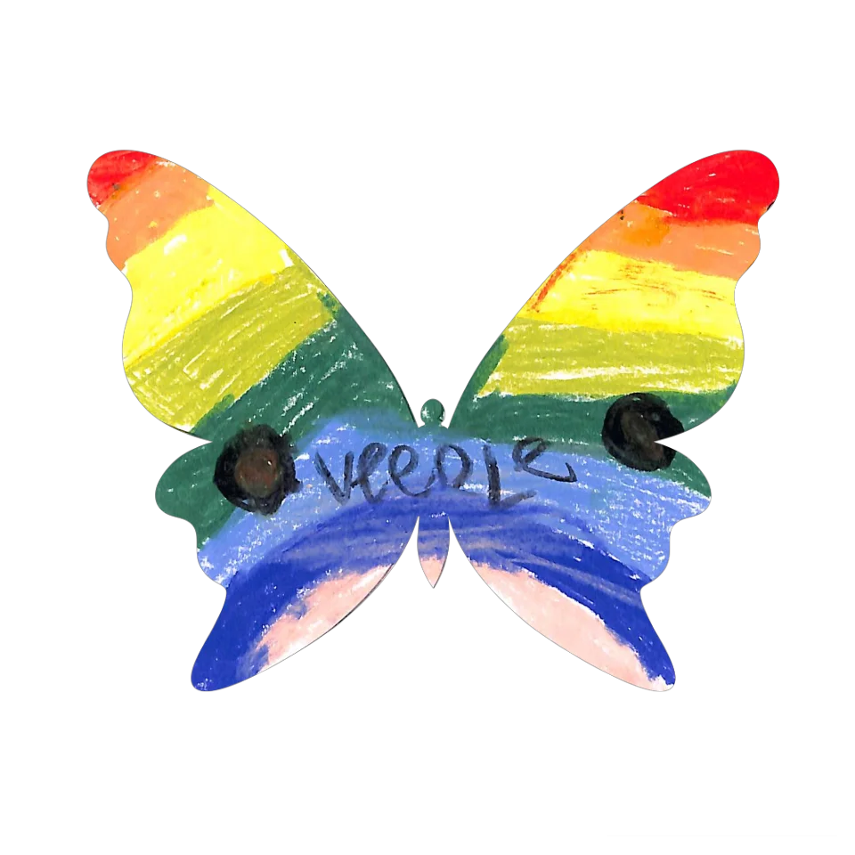 Original Butterfly Image