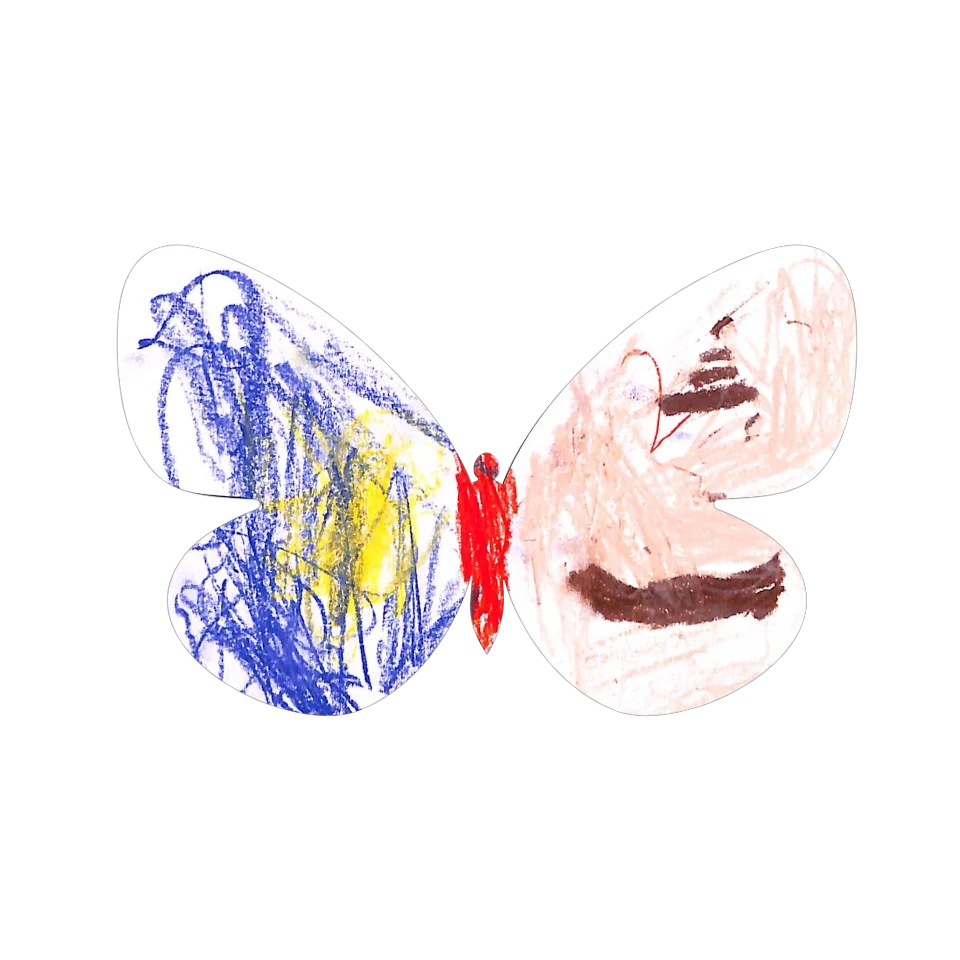 Original Butterfly Image