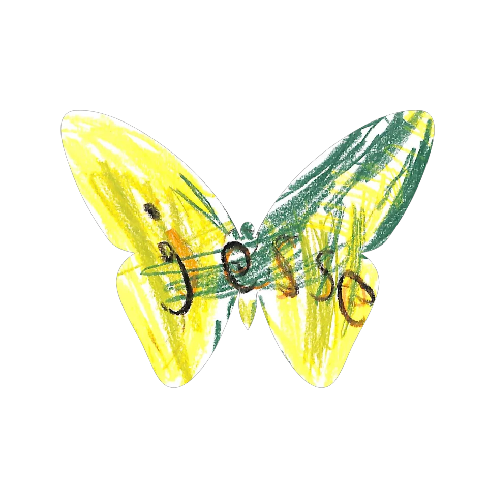 Original Butterfly Image