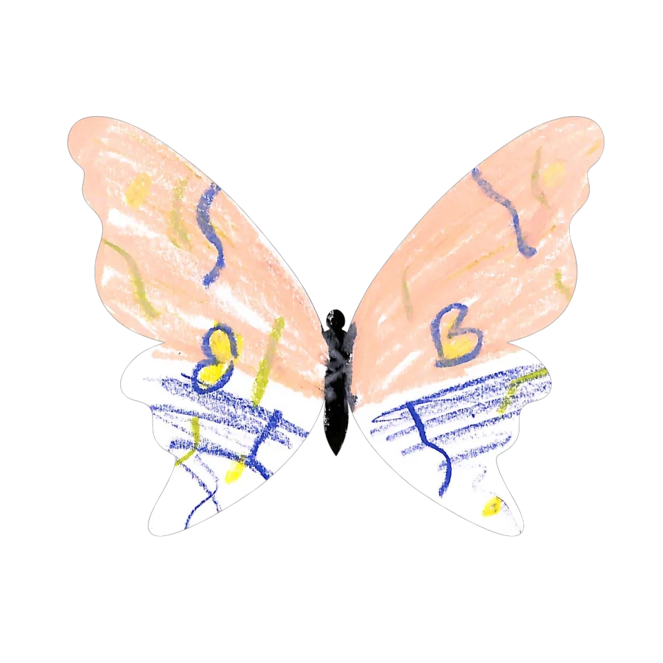 Original Butterfly Image