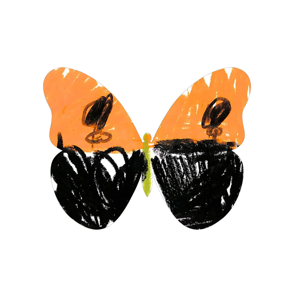 Original Butterfly Image