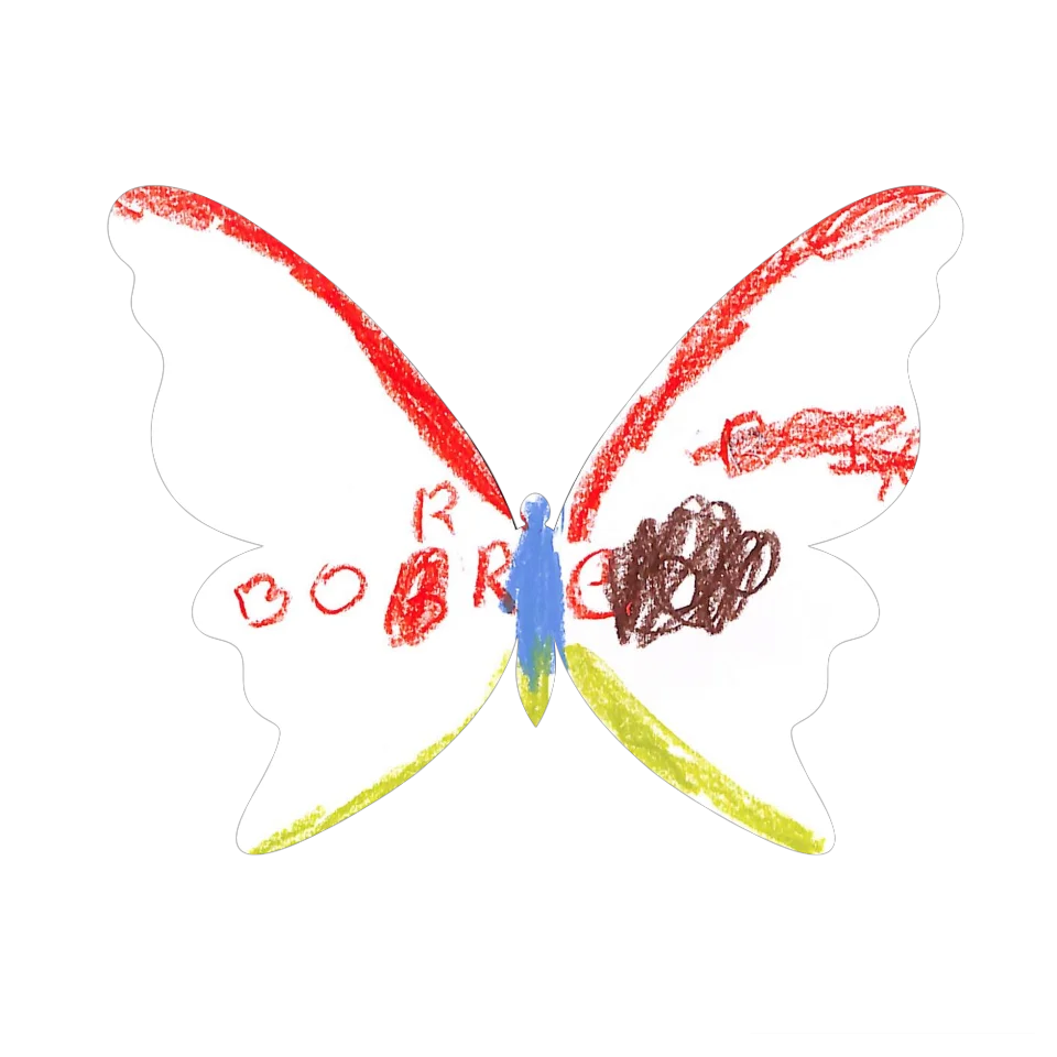 Original Butterfly Image