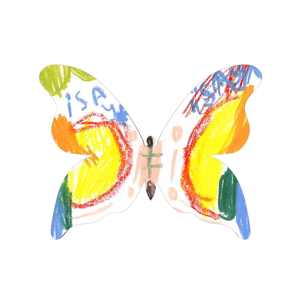 Original Butterfly Image