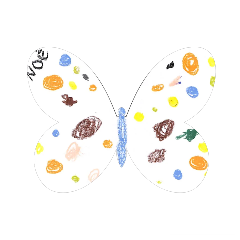 Original Butterfly Image