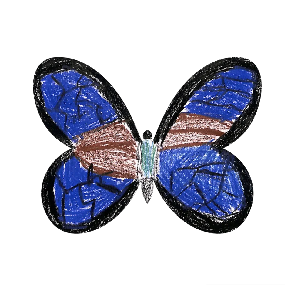 Original Butterfly Image