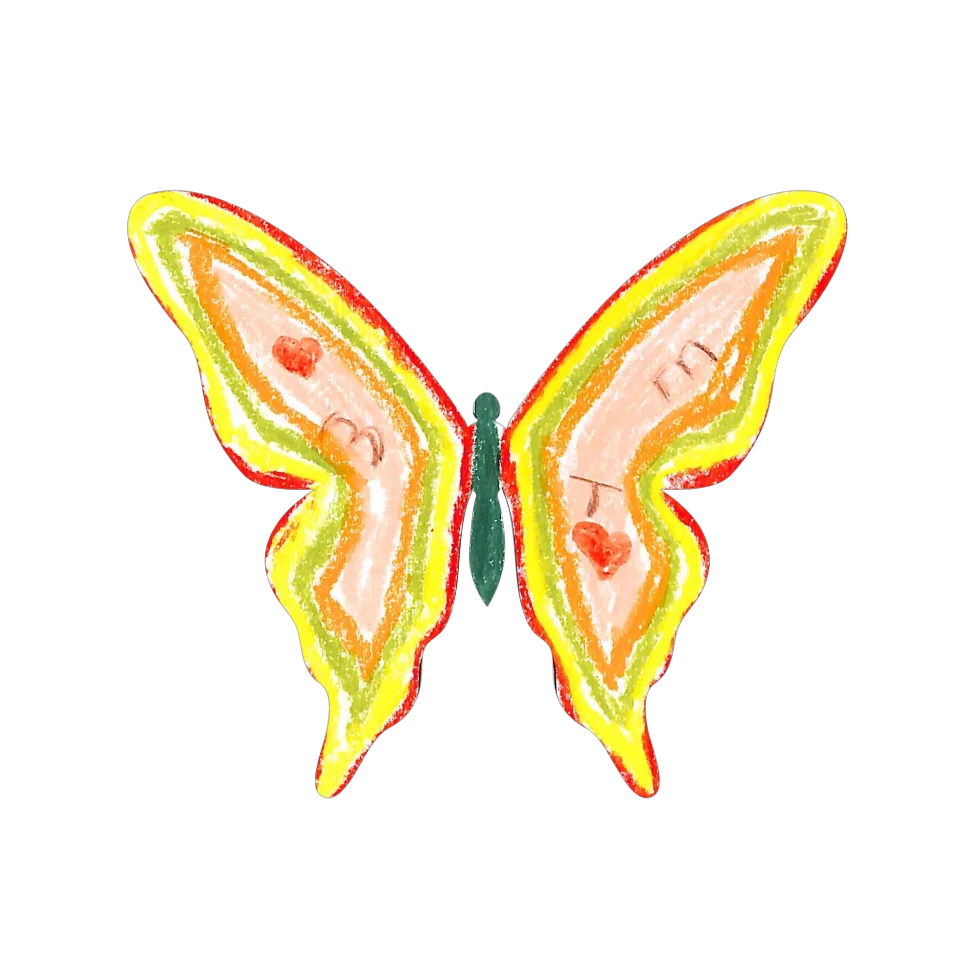 Original Butterfly Image