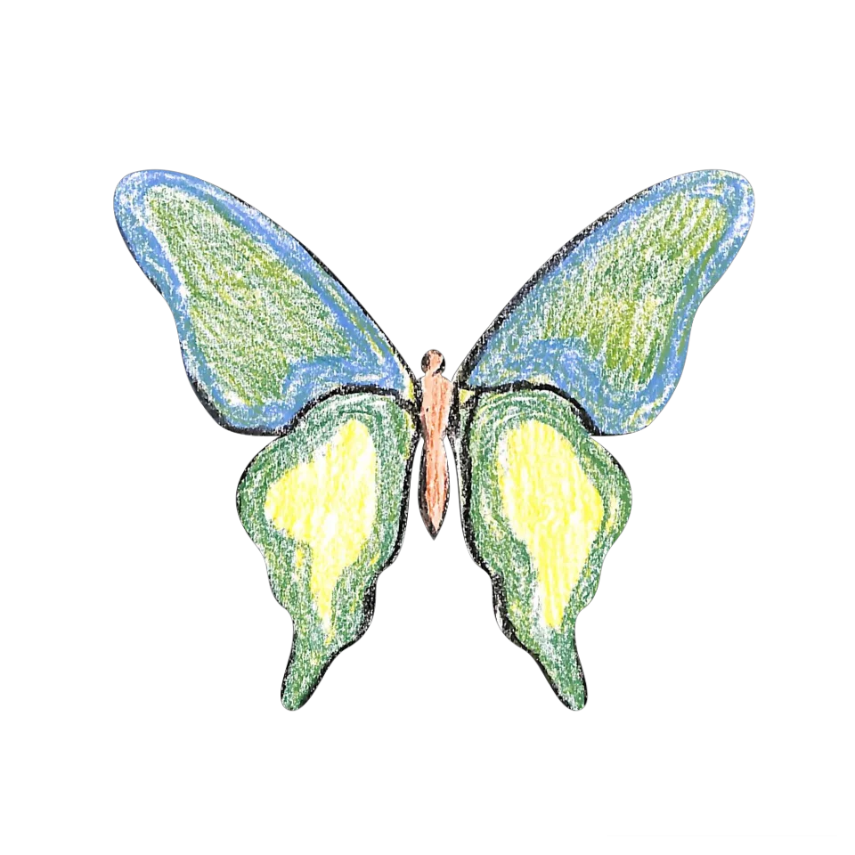 Original Butterfly Image