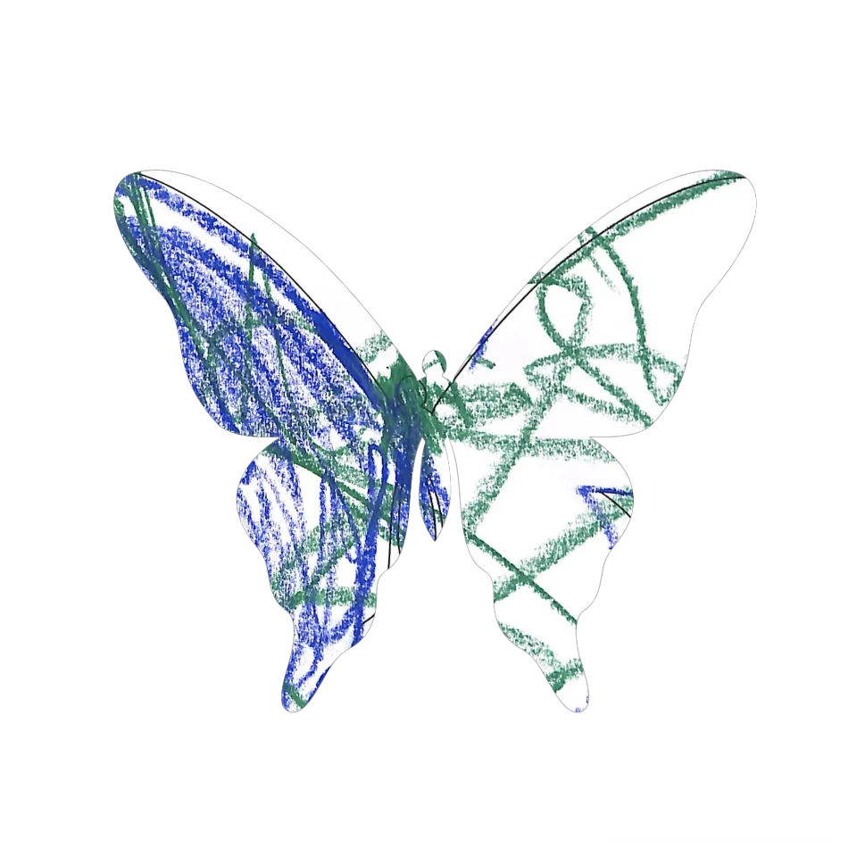Original Butterfly Image
