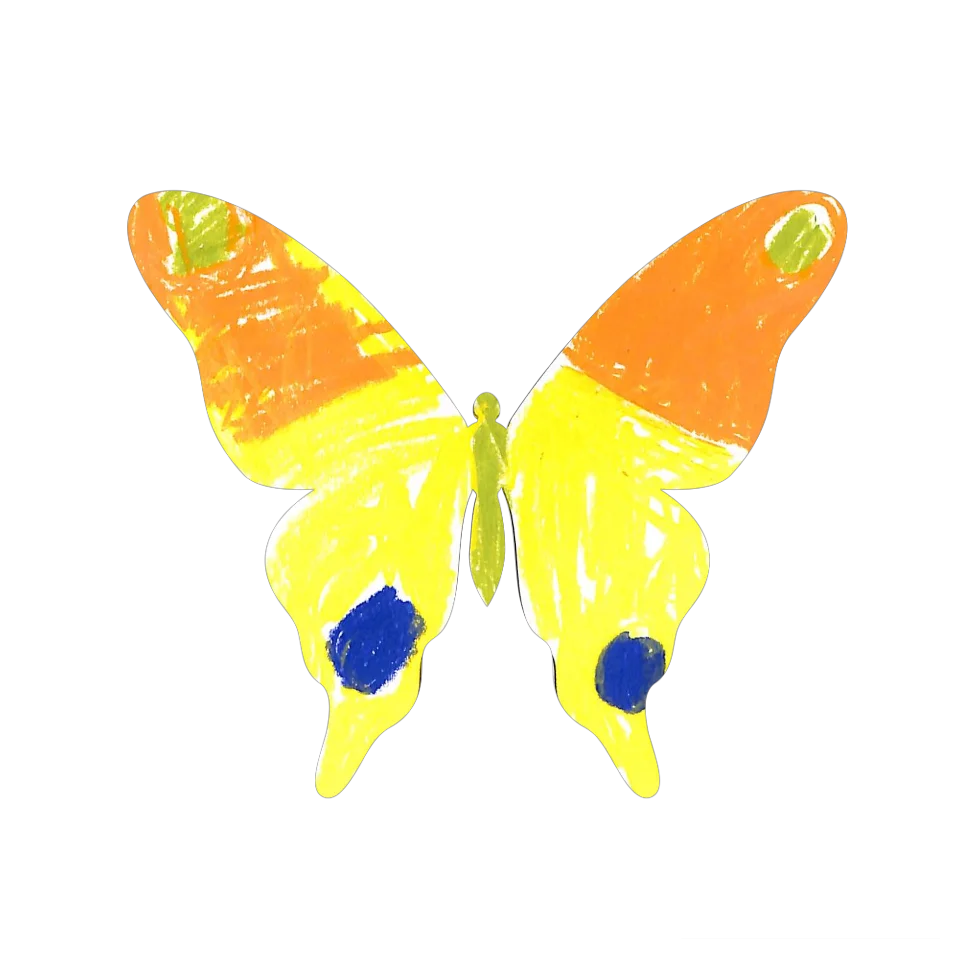 Original Butterfly Image