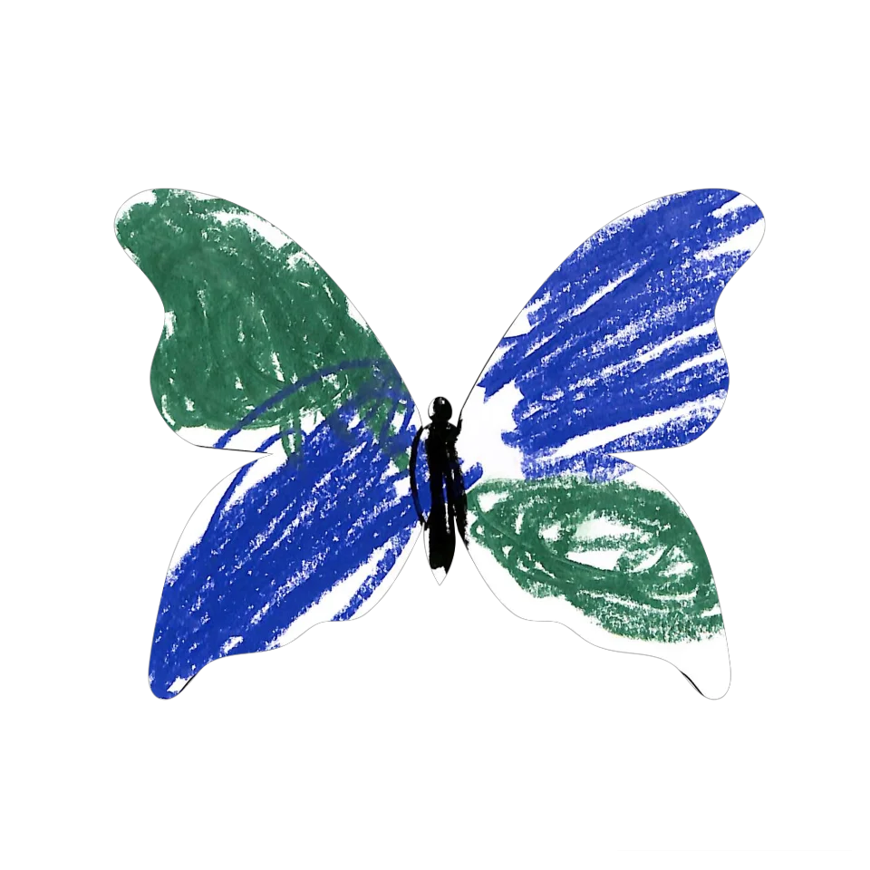 Original Butterfly Image