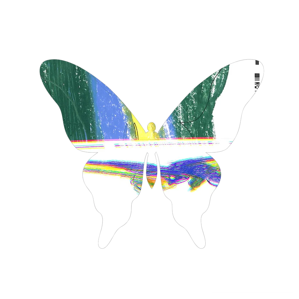 Original Butterfly Image