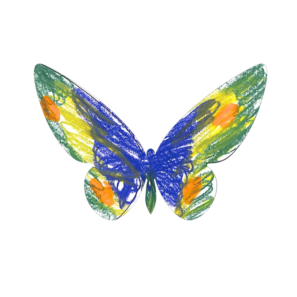 Original Butterfly Image