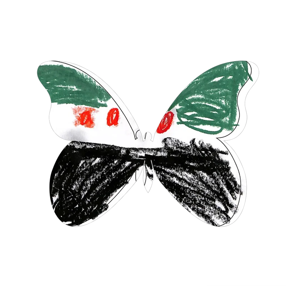 Original Butterfly Image