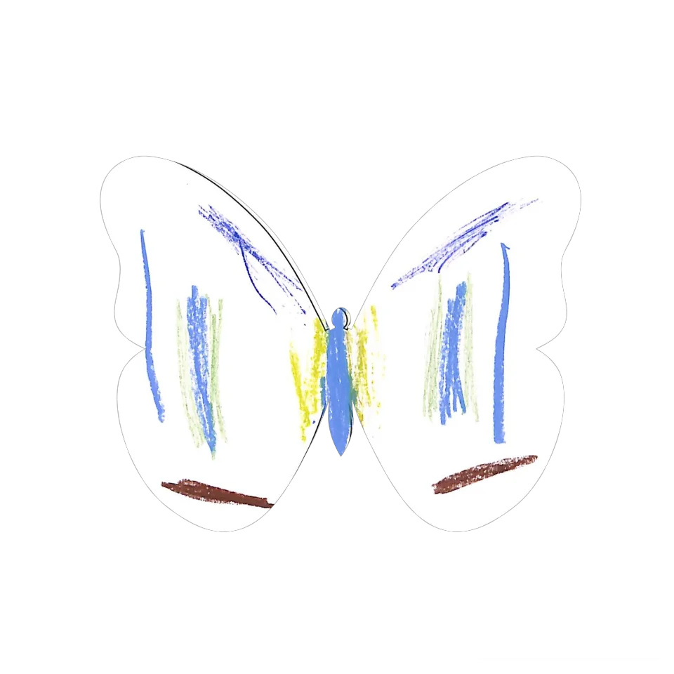 Original Butterfly Image