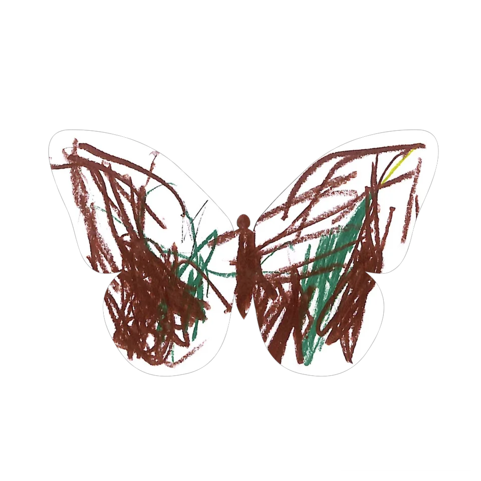 Original Butterfly Image
