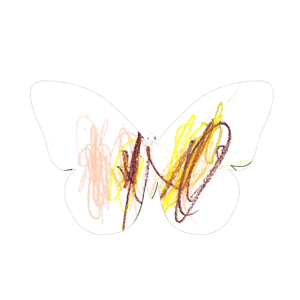 Original Butterfly Image