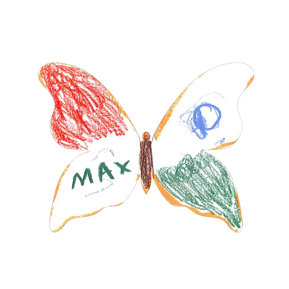 Original Butterfly Image