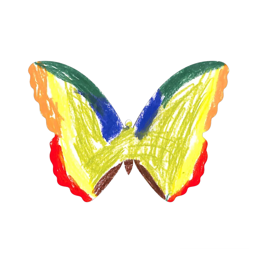 Original Butterfly Image
