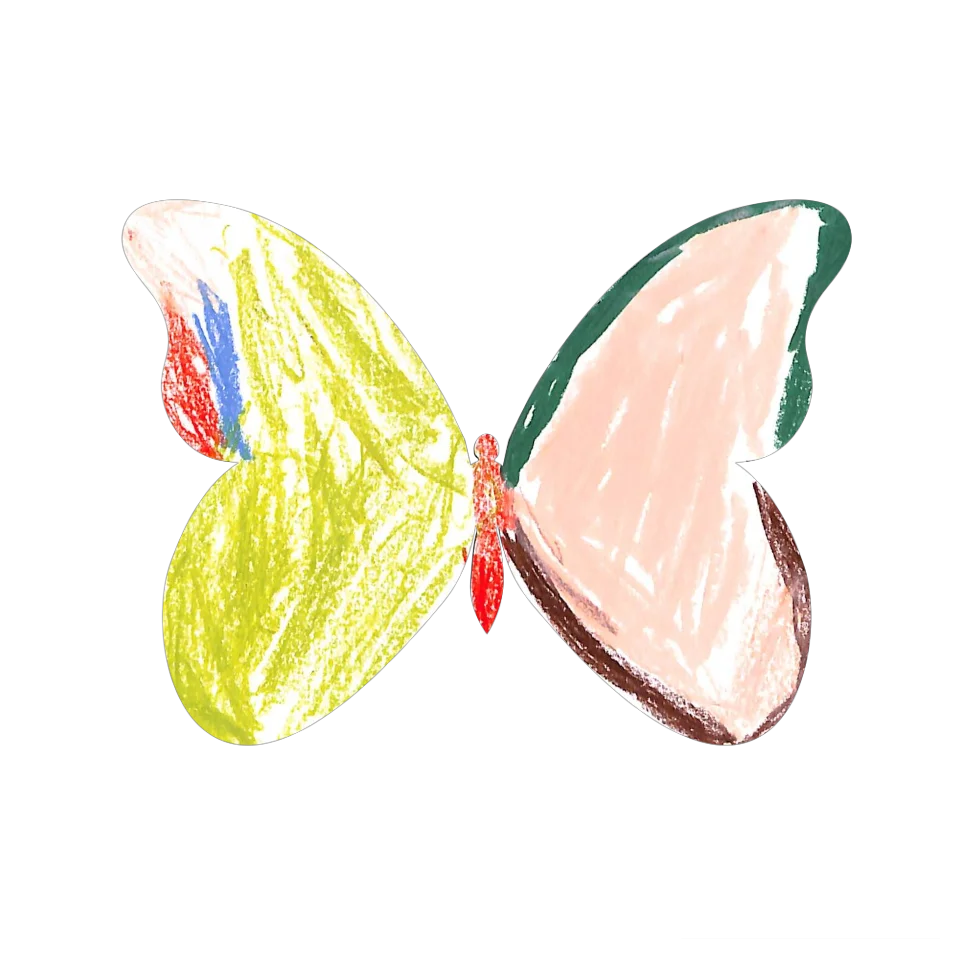 Original Butterfly Image