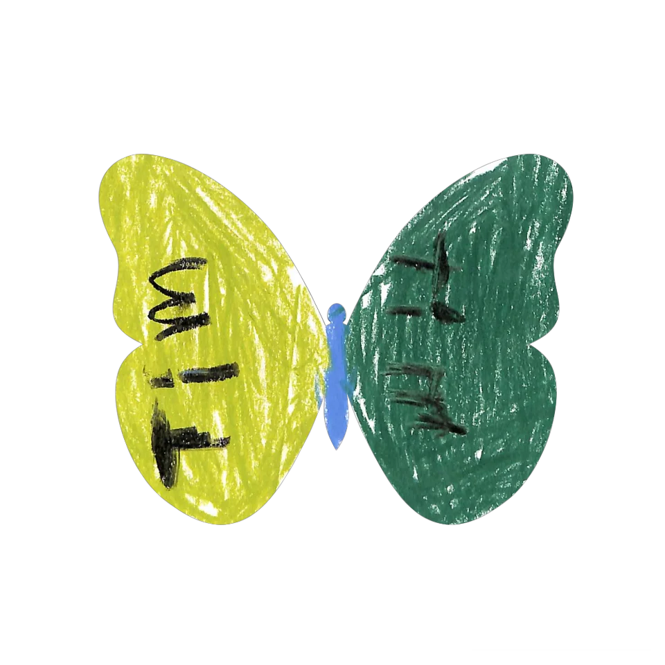 Original Butterfly Image