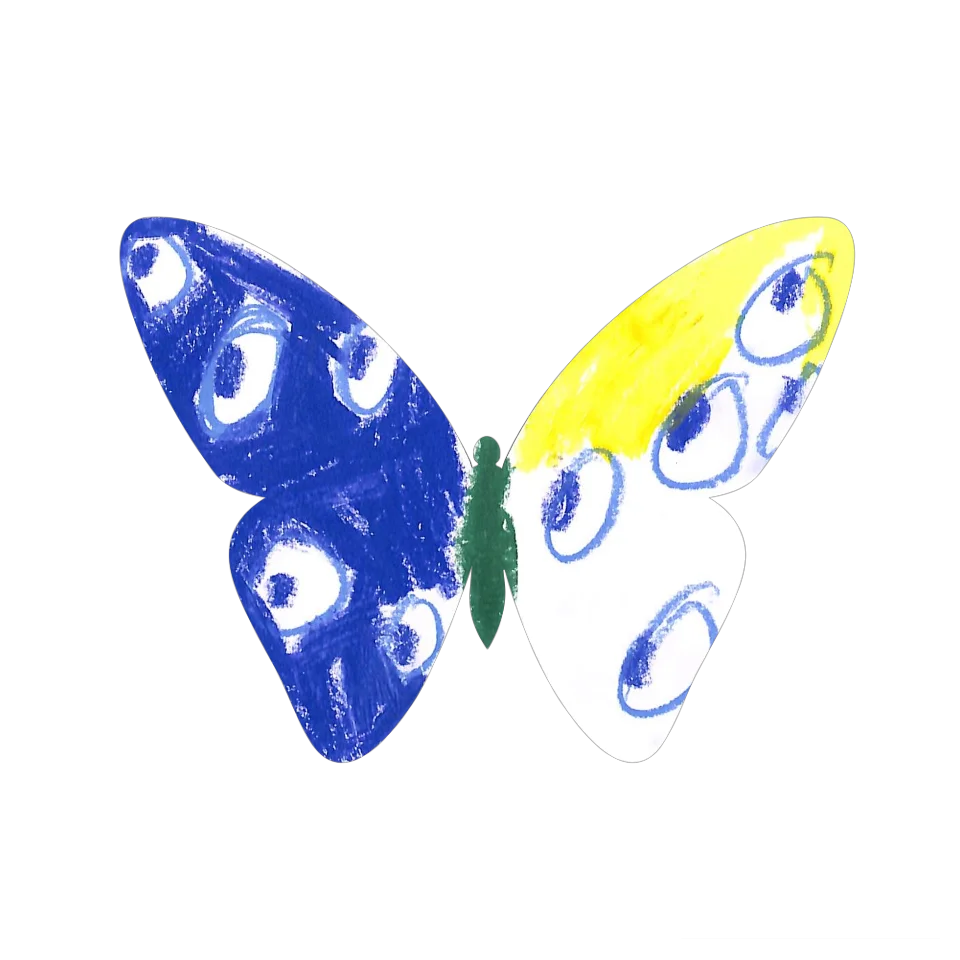 Original Butterfly Image