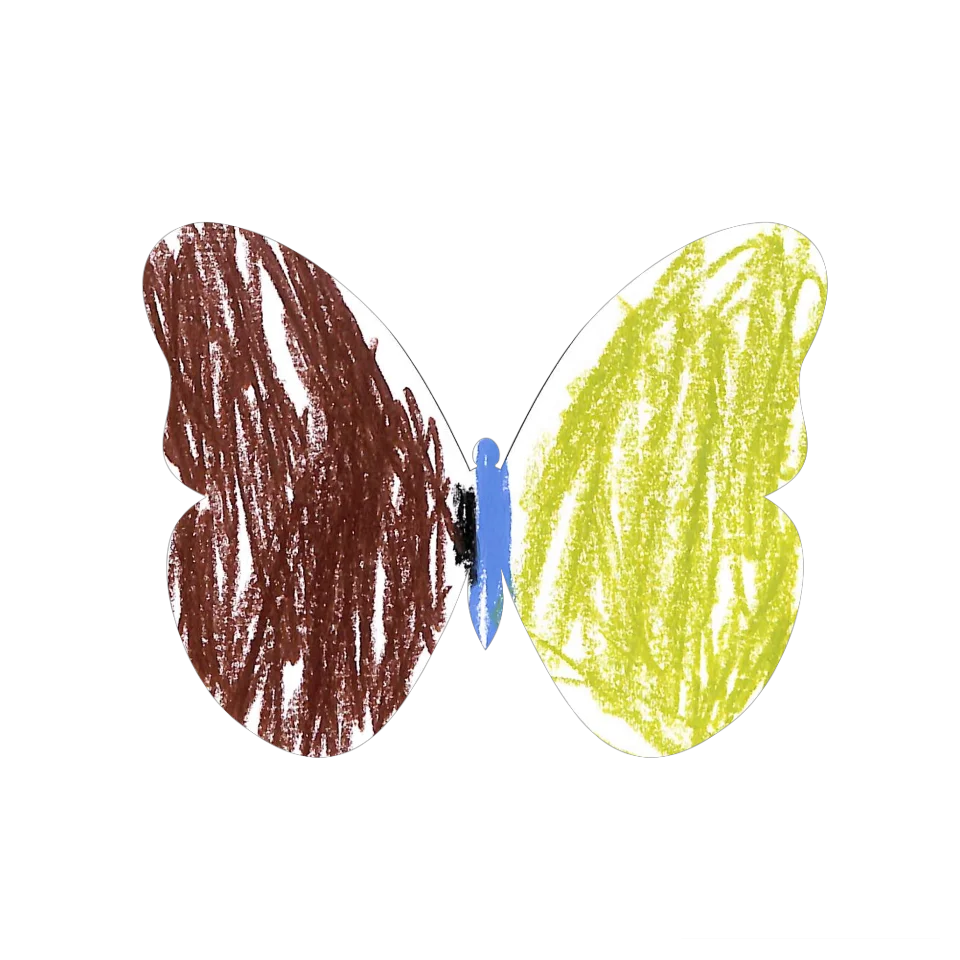 Original Butterfly Image