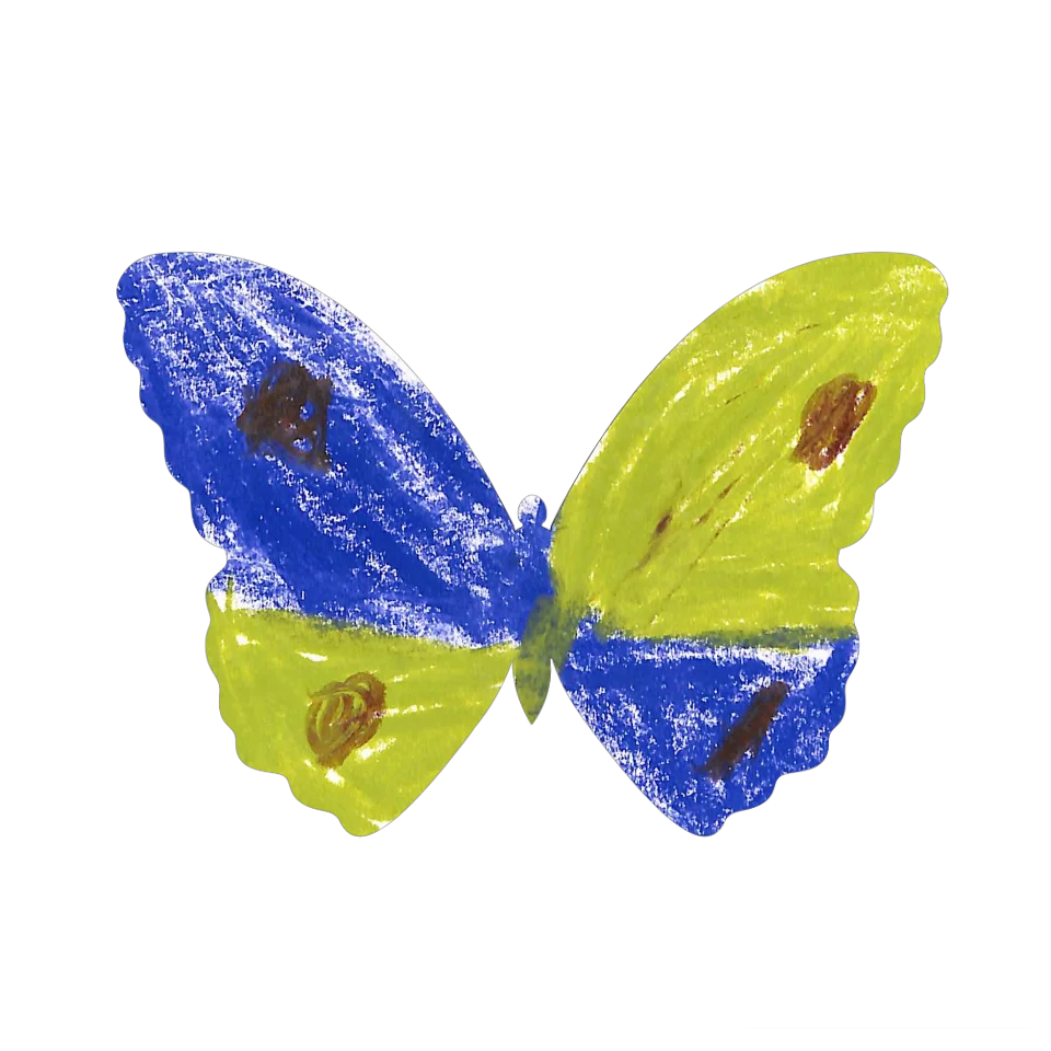 Original Butterfly Image